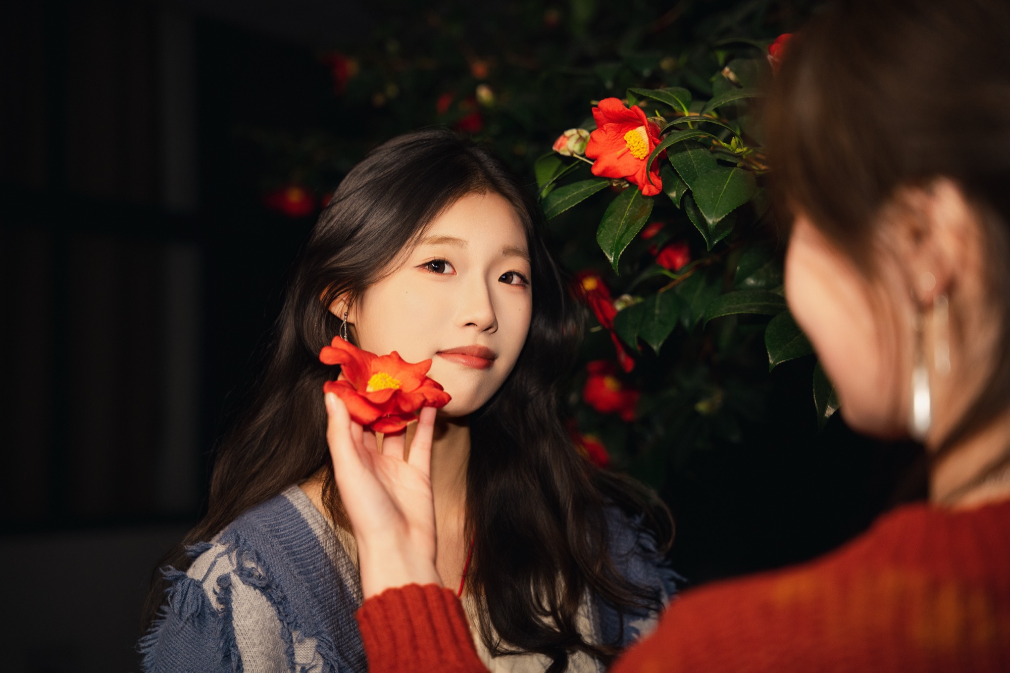 花墙光影